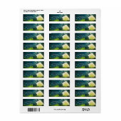 Firefels + Mason Jar Rustic Night Address Labels (Vorne)