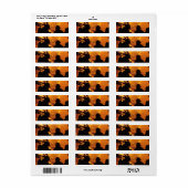 Firefighter Team (Vorne)