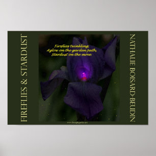 "Fireflies & Stardust" Portfolio Poster (16,5 x 11