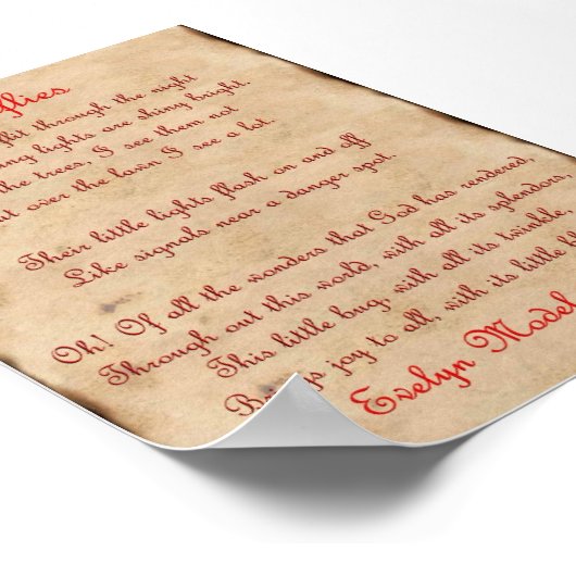 Firefly Poster (Ecke)