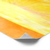 Firefly Poster (Ecke)