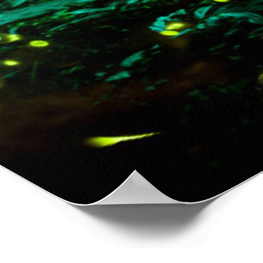 Firefly Poster (Ecke)