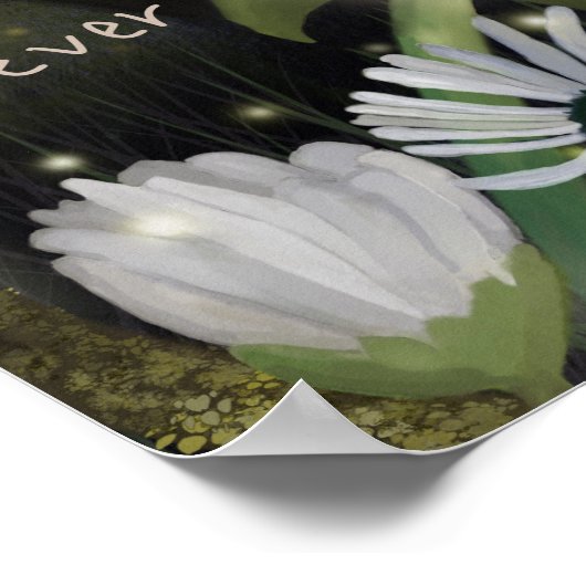 Firefly Sky Poster (Ecke)