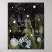 Firefly Sky Poster (Vorne)