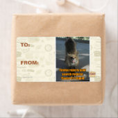 Firefox lehnt ab (Insitu)