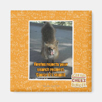 Firefox lehnt ab