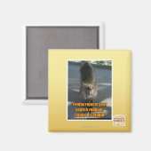 Firefox lehnt ab magnet (Vorderseite/Rückseite)