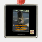 Firefox lehnt ab silbernes ornament (Vorne)