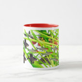 Firehead tetras 2 tasse (Zentrum)