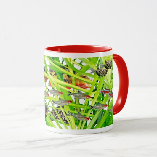 Firehead tetras 2 tasse (VorderseiteRechts)