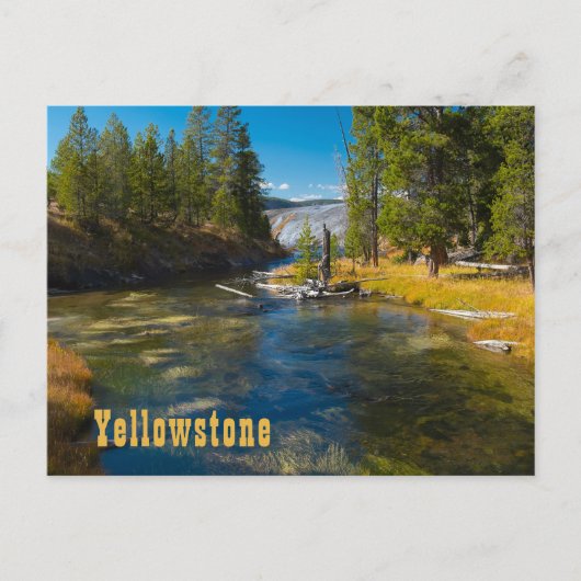Firehole River Upper Geyser-Becken Yellowstone Postkarte (Vorderseite)