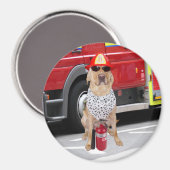Firehouse Dog Magnet (Vorderseite/Rückseite)