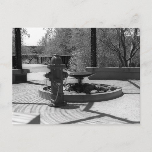 Firehydrant VS Wasserbrunnen Postkarte (Vorderseite)