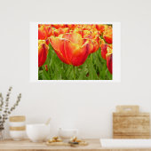 Firelight Tulip-Druck Poster (Küche)