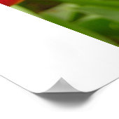 Firelight Tulip-Druck Poster (Ecke)