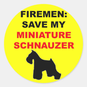 Fireman Rettete meinen Miniaturschnauzer Runder Aufkleber
