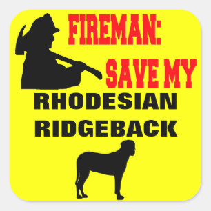 Fireman Rettete meinen Rhodesian Ridgeback Dog Quadratischer Aufkleber