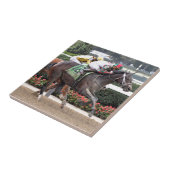 Firenze-Feuer Irad Ortiz jr. Fliese (Seite)