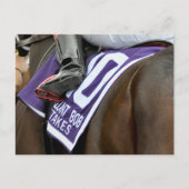 Firenze Fire Saddlecloth Postkarte (Vorderseite)