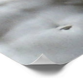 Firenze Italia Print Poster (Ecke)