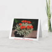 Firery Kaktus-Blüte Karte (Rückseite)