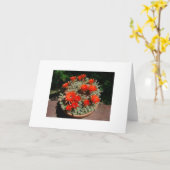 Firery Kaktus-Blüte Karte (Gelbe Blume)