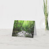 Fires Creek Karte (Vorderseite)