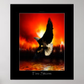 FIRESTORY Bald Eagle Art Poster (Vorne)