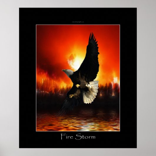 FIRESTORY Bald Eagle Art Poster (Vorne)