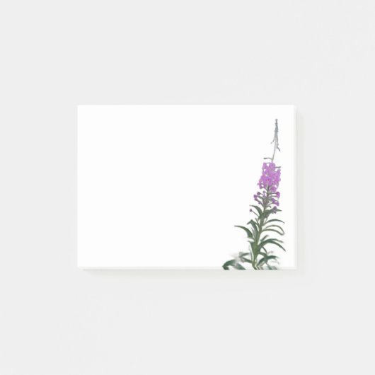 Fireweed 3" x 4" Post-It Notes Klebezettel (Vorderseite)