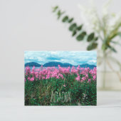 Fireweed auf Baker Island, Acadia, Nationalpark Postkarte (Stehend Vorderseite)