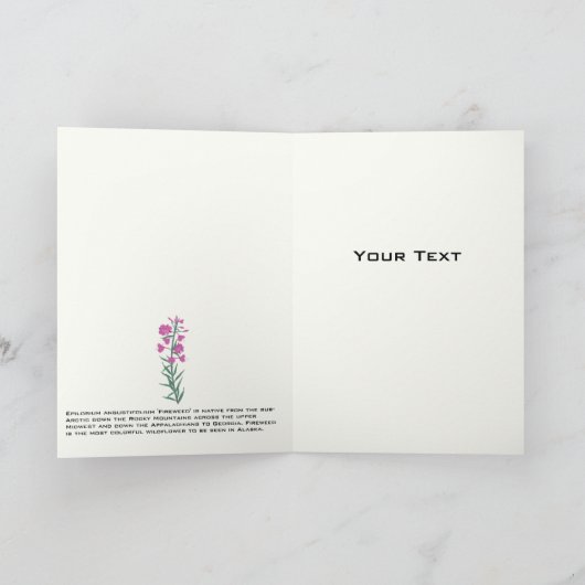 Fireweed Gruß/Notecard Karte (Innenseite)