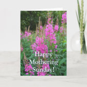 Fireweed Karte (Vorderseite)