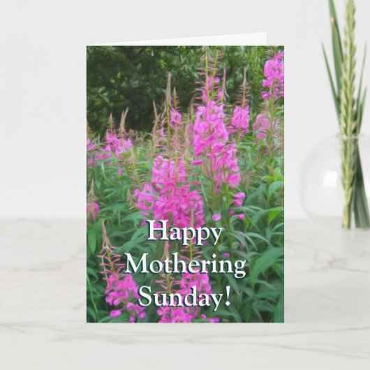 Fireweed Karte (Vorderseite)