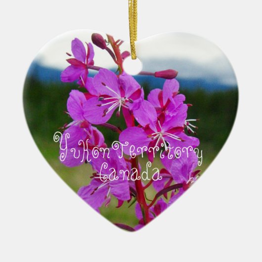 Fireweed-Nahaufnahme; Yukon-Territorium, Kanada Keramikornament (Vorne)