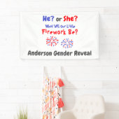 Firework American Gender Reveal Banner (Insitu)