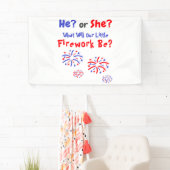 Firework American Gender Reveal Banner (Insitu)