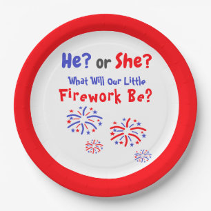 Firework American Gender Reveal Paper Plate Pappteller