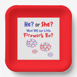 Firework American Gender Reveal Paper Plate Pappteller
