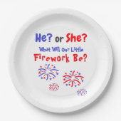 Firework American Gender Reveal Pappteller (Vorderseite)
