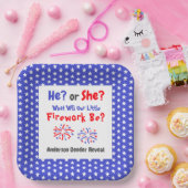 Firework American Gender Reveal Pappteller (Party)