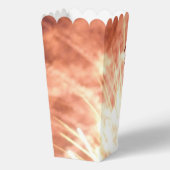 Fireworks 12 Popcorn-Boxen Geschenkschachtel (Rückseite)
