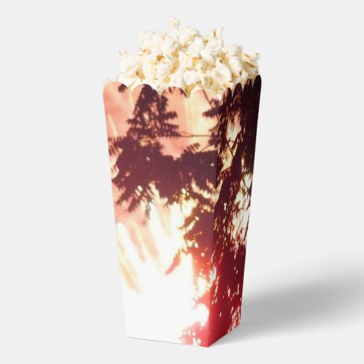 Fireworks 12 Popcorn-Boxen Geschenkschachtel (Geplatzt)