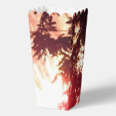 Fireworks 12 Popcorn-Boxen Geschenkschachtel (Vorderseite)