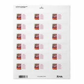 FIREWORKS ADRESSAUFKLEBER (Vorne)