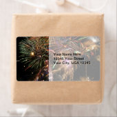 Fireworks Display (Insitu)
