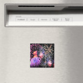 Fireworks Display Magnet (In Situ (Geschirrspüler))