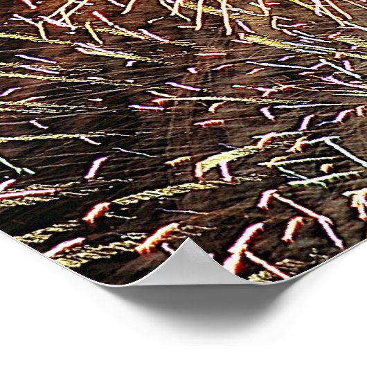 Fireworks Display Poster (Ecke)