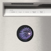 Fireworks Magnet (In Situ (Geschirrspüler))