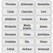 Fireworks Mehrere Namensaufkleber Aufkleber (Vorderseite)